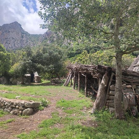 Appartamento Meduse Cala Gonone Buitenkant foto